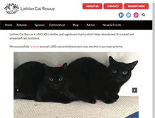 Tablet Screenshot of lothiancatrescue.org